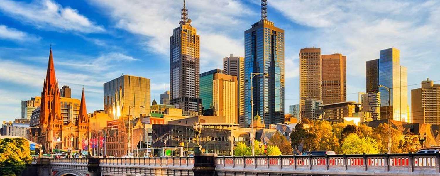 Wasp removal Melbourne